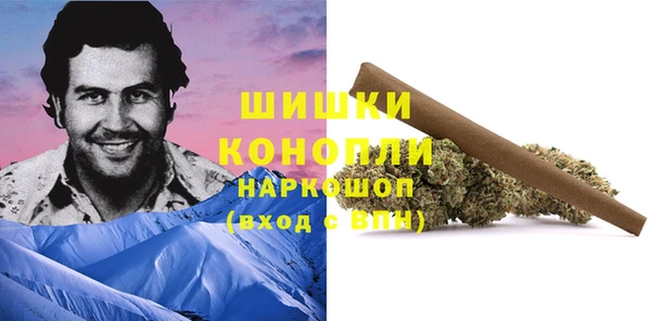 индика Белокуриха