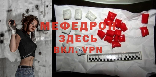 индика Белокуриха