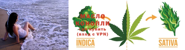индика Белокуриха