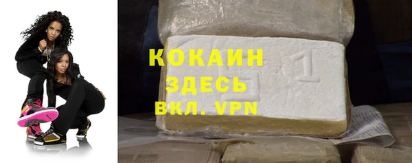 индика Белокуриха