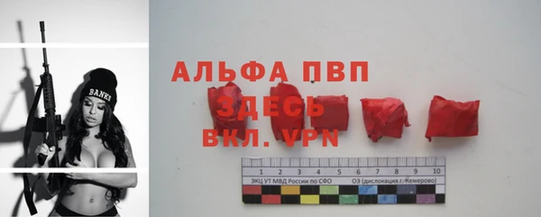 индика Белокуриха