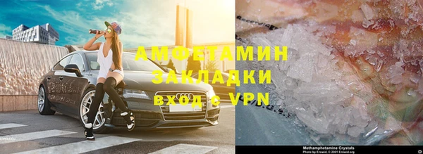 индика Белокуриха