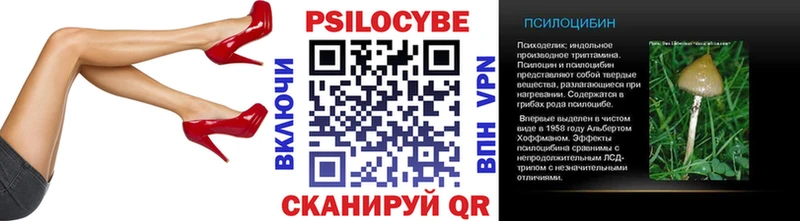 blacksprut ТОР  Сковородино  Псилоцибиновые грибы Psilocybine cubensis 
