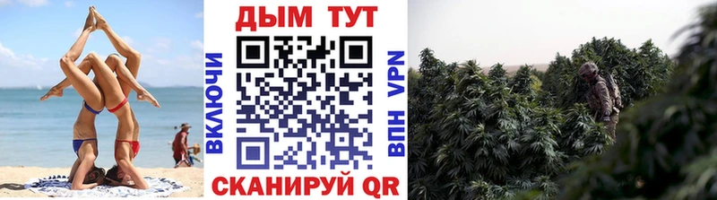 продажа наркотиков blacksprut как войти Канабис тримм Сковородино
